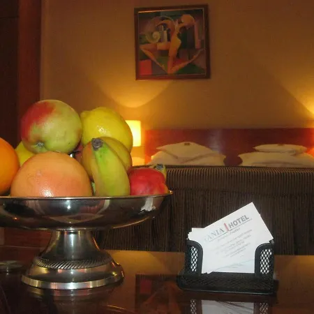 Tania-Frankfurt Hotel 3* Бухарест